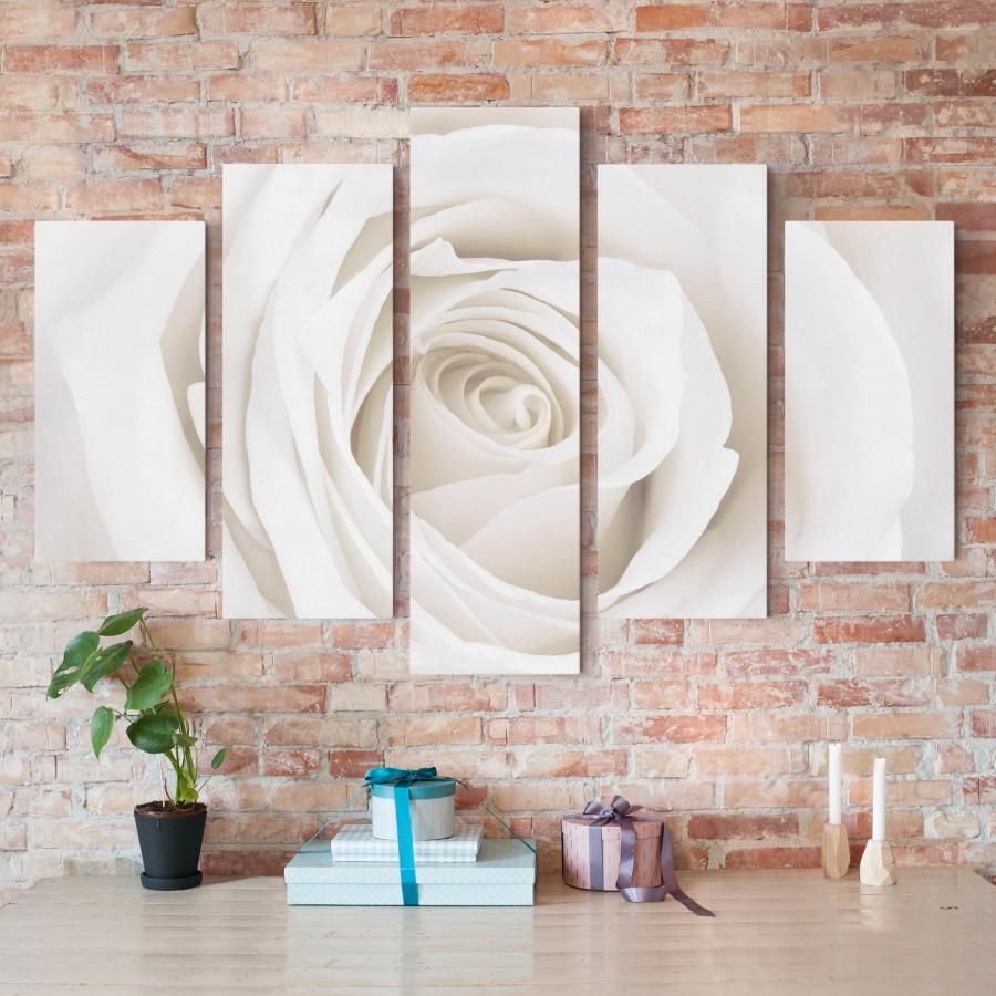Päťdielny obraz Pekná biela ruža